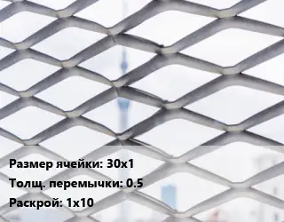 Сетка ЦПВС 30х1 0.5 Раскрой: 1х10